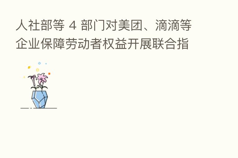 人社部等 4 部门对美团、滴滴等企业保障劳动者权益开展联合指导