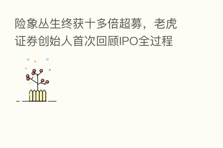 险象丛生终获十多倍超募,老虎证券创始人首次回顾IPO全过程