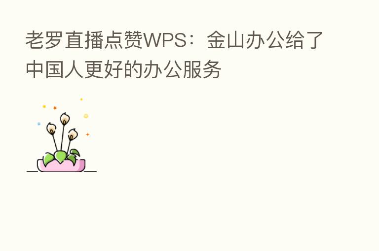 老罗直播点赞WPS:金山办公给了中国人更好的办公服务