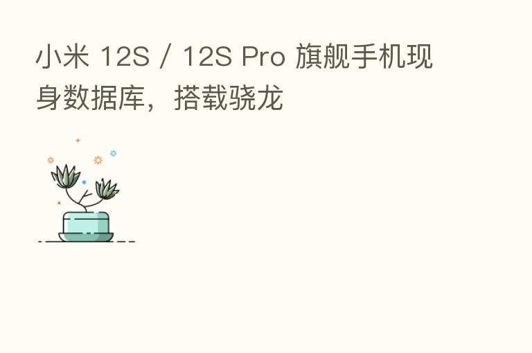 小米 12S / 12S Pro 旗舰手机现身数据库,搭载骁龙