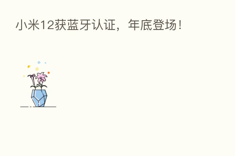 小米12获蓝牙认证,年底登场!