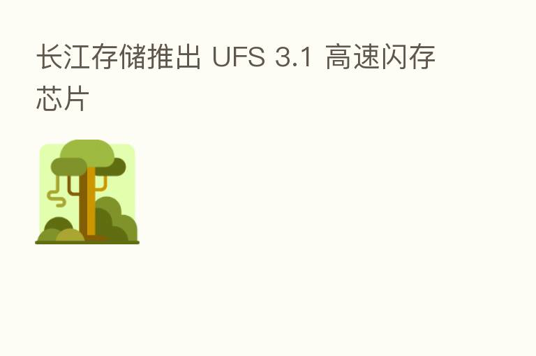 长江存储推出 UFS 3.1 高速闪存芯片