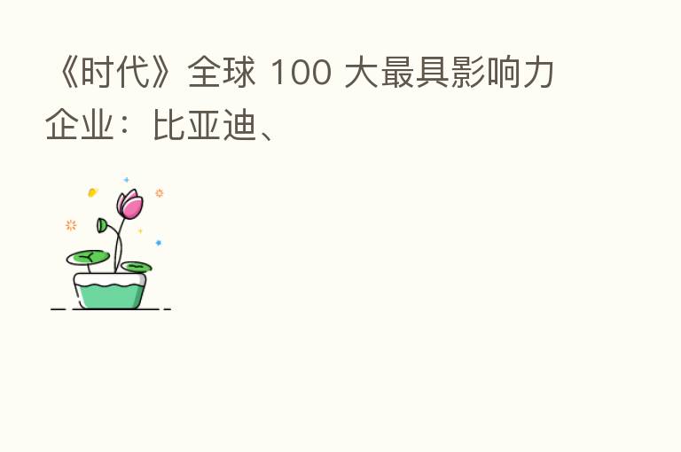 《时代》全球 100 大 具影响力企业:比亚迪、