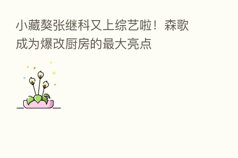 小藏獒张继科又上综艺啦!森歌成为爆改厨房的 大亮点