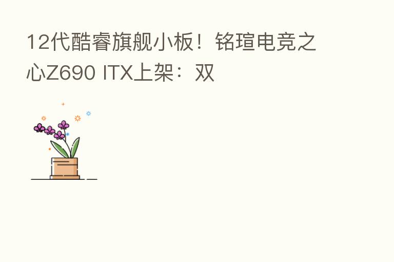 12代酷睿旗舰小板!铭瑄电竞之心Z690 ITX上架:双