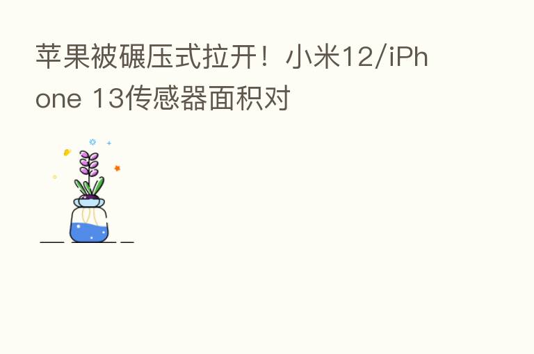 苹果被碾压式拉开!小米12/iPhone 13传感器面积对