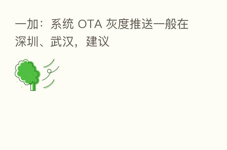 一加：系统 OTA 灰度推送一般在深圳、武汉，建议