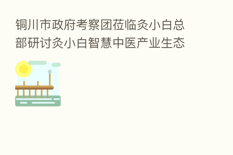 铜川市政府考察团莅临灸小白总部研讨灸小白智慧中医产业生态落户铜川相关落地方案