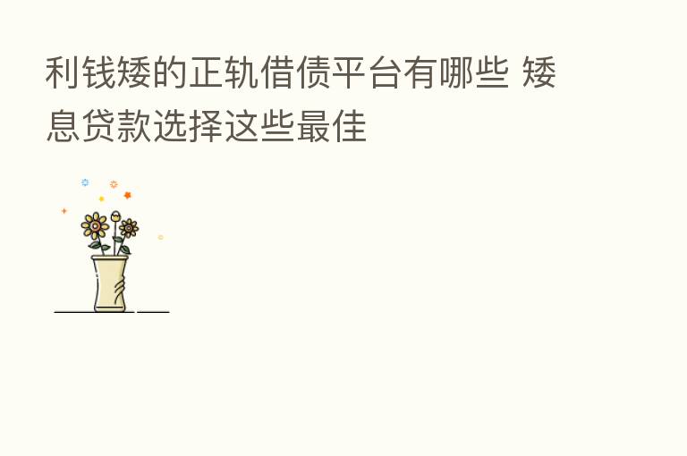 利前矮的正轨借债平台有哪些 矮息贷款选择这些 佳