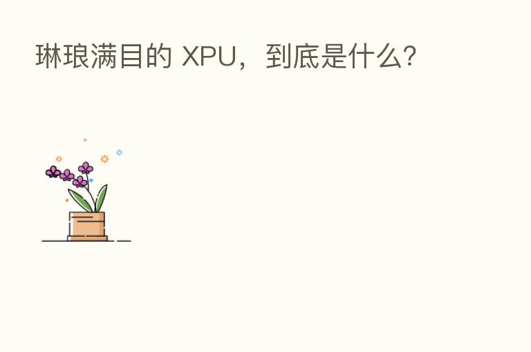 琳琅满目的 XPU,到底是什么?