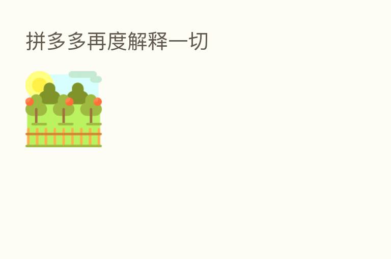 拼多多再度解释一切