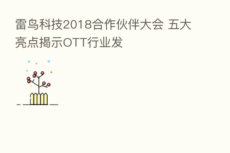 雷鸟科技2018合作伙伴大会 五大亮点揭示OTT行业发