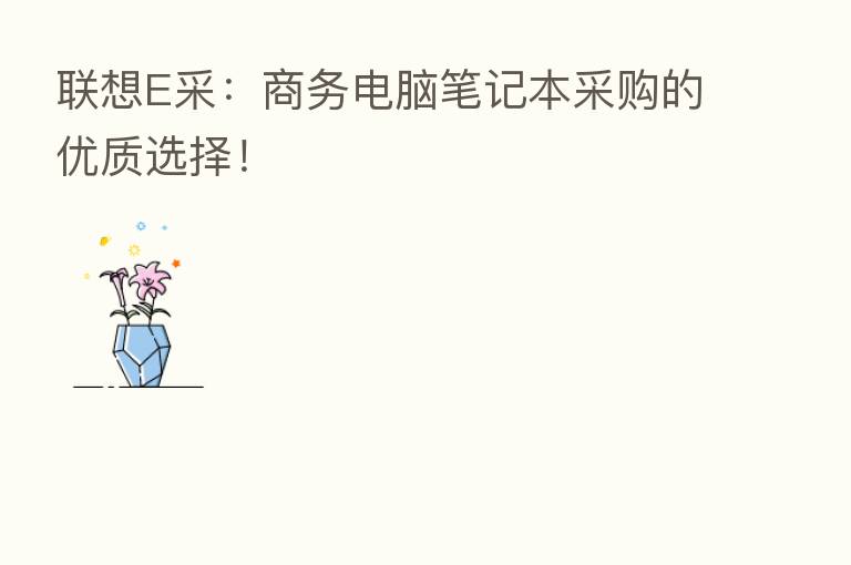 联想E采:商务电脑笔记本采购的优质选择!