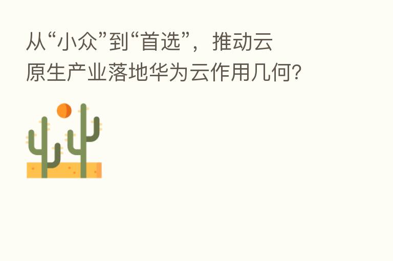从“小众”到“首选”,推动云原生产业落地华为云作用几何?