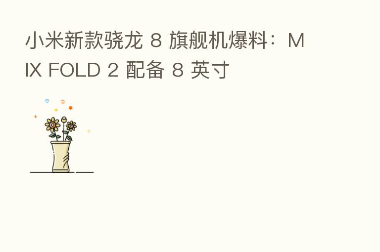 小米新款骁龙 8 旗舰机爆料:MIX FOLD 2 配备 8 英寸
