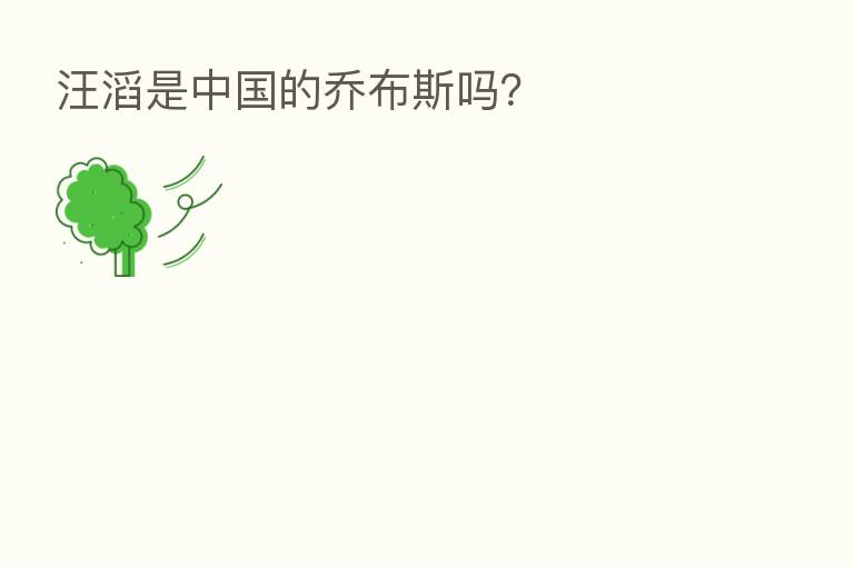 汪滔是中国的乔布斯吗?