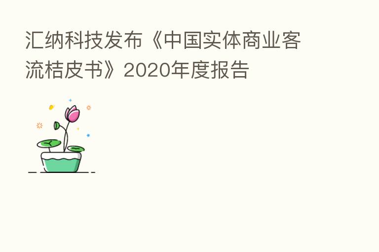 汇纳科技发布《中国实体商业客流桔皮书》2020年度报告
