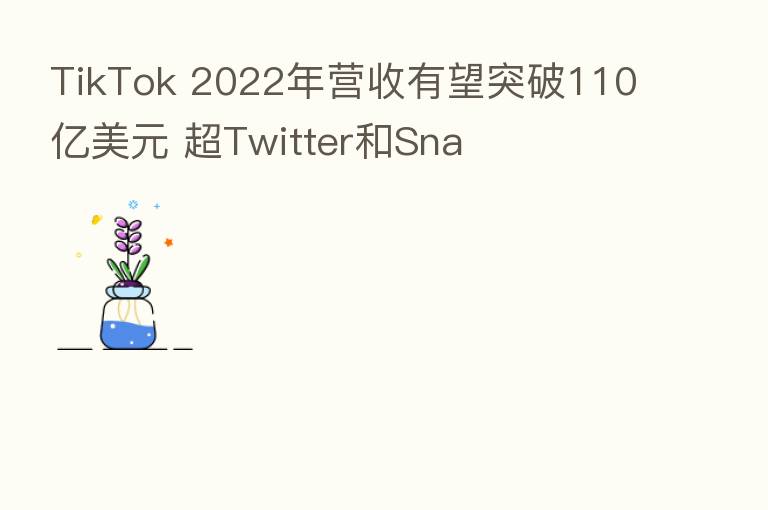 TikTok 2022年营收有望突破110亿美元 超Twitter和Sna