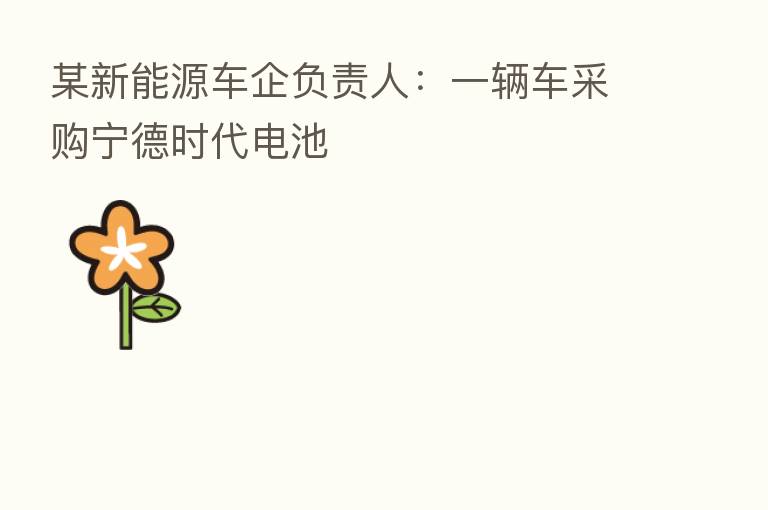 某新能源车企负责人：一辆车采购宁德时代电池