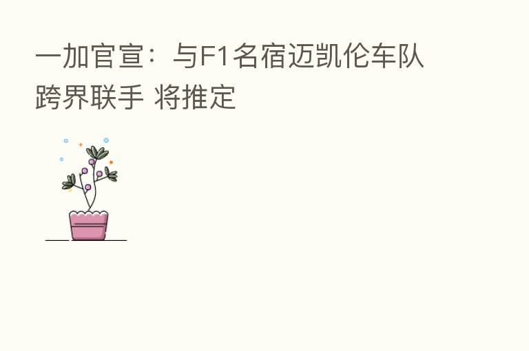 一加官宣:与F1名宿迈凯伦车队跨界联手 将推定