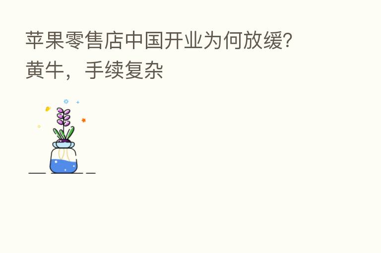 苹果零售店中国开业为何放缓?黄牛,手续复杂