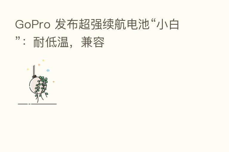 GoPro 发布超强续航电池“小白”:耐低温,兼容
