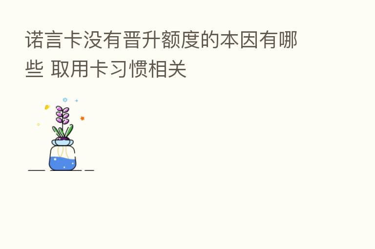 诺言卡没有晋升额度的本因有哪些 取用卡习惯相关