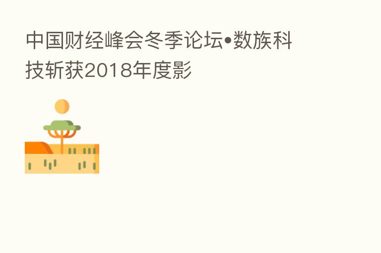 中国财经峰会冬季论坛•数族科技斩获2018年度影