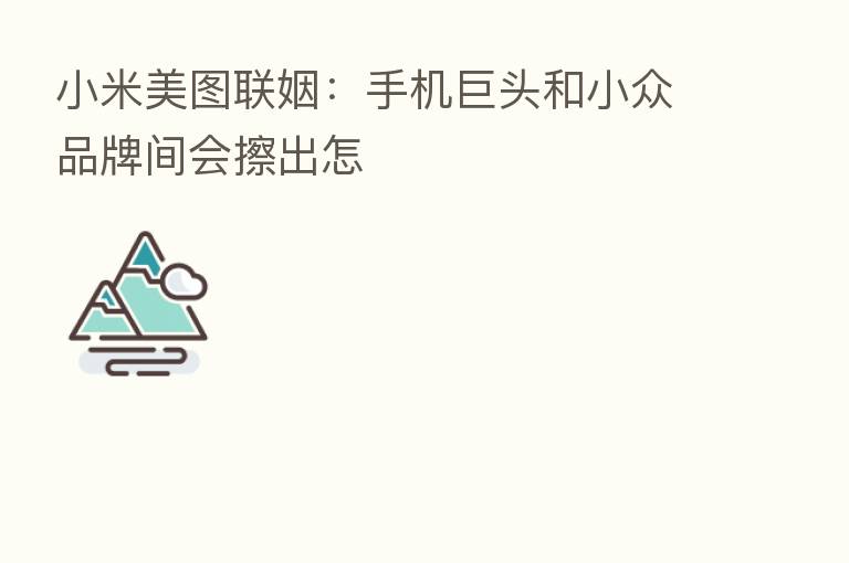 小米美图联姻:手机巨头和小众品牌间会擦出怎