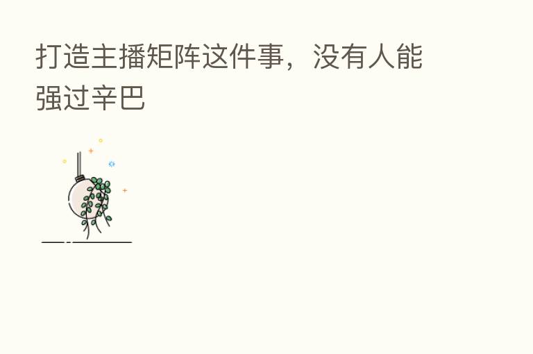 打造      矩阵这件事，没有人能强过辛巴