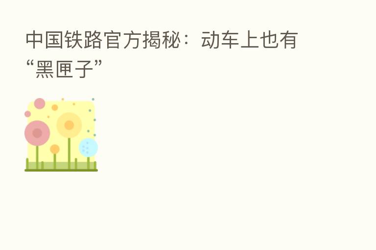 中国铁路官方揭秘:动车上也有“黑匣子”
