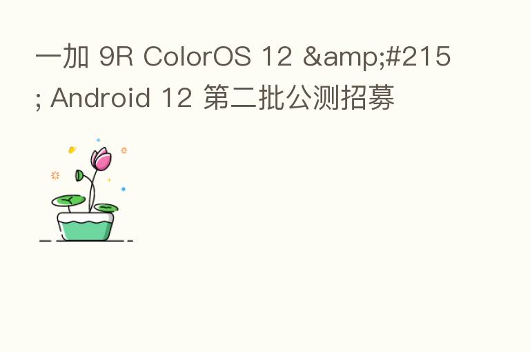 一加 9R ColorOS 12 × Android 12 二批公测招募