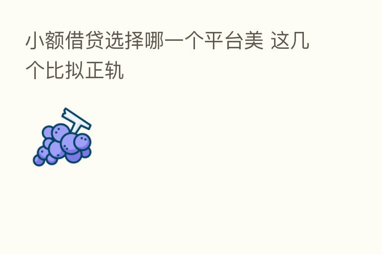 小额借贷选择哪一个平台美 这几个比拟正轨