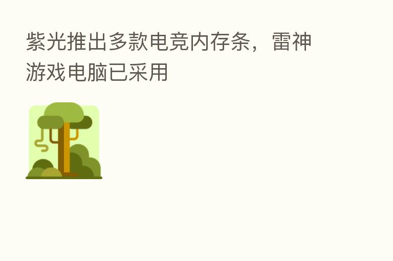 紫光推出多款电竞内存条,雷神游戏电脑已采用