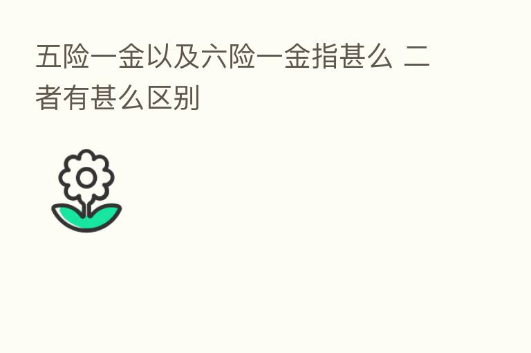 五险一金以及六险一金指甚么 二者有甚么区别