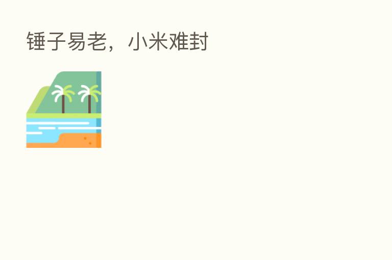 锤子易老,小米难封
