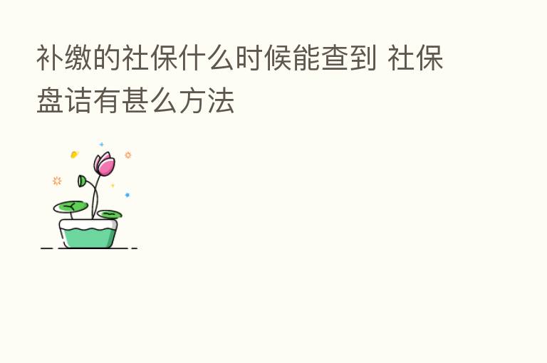 补缴的社保什么时候能查到 社保盘诘有甚么方法