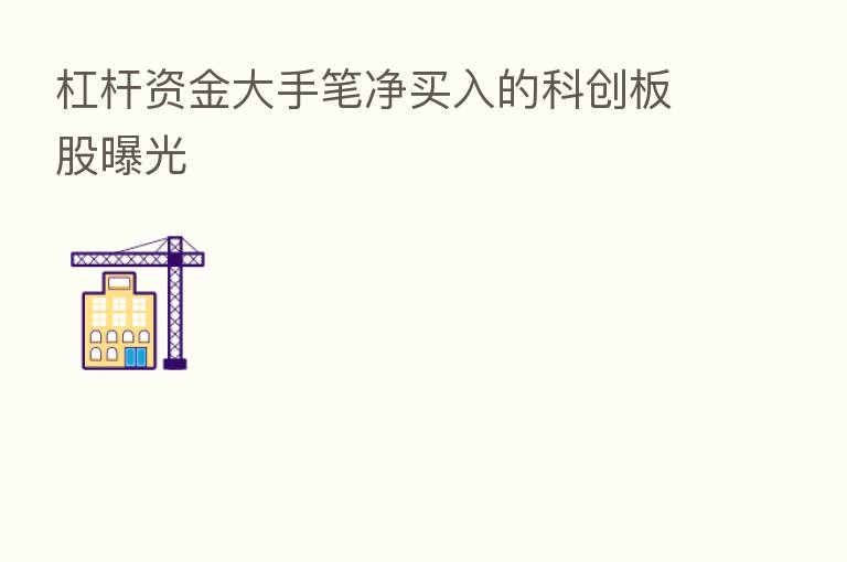 杠杆资金大手笔净买入的科创板股曝光
