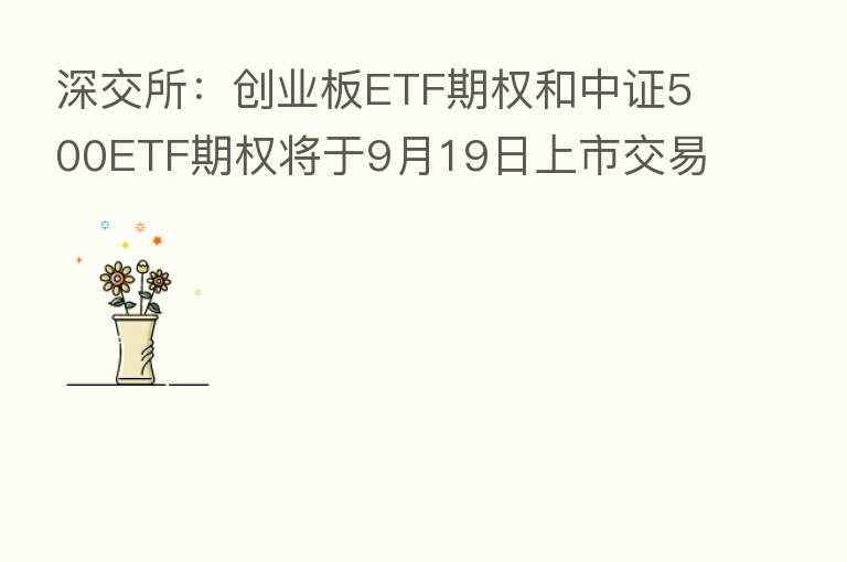 深交所:创业板ETF期权和中证500ETF期权将于9月19日上市交易