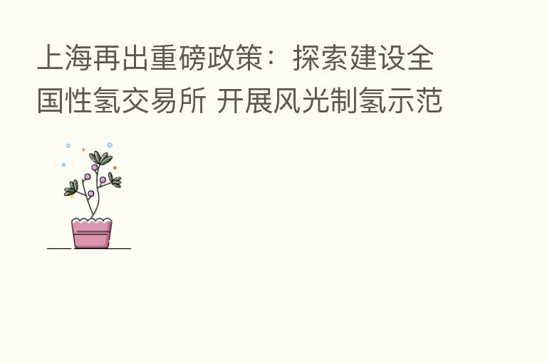 上海再出重磅政策:探索建设全国性氢交易所 开展风光制氢示范