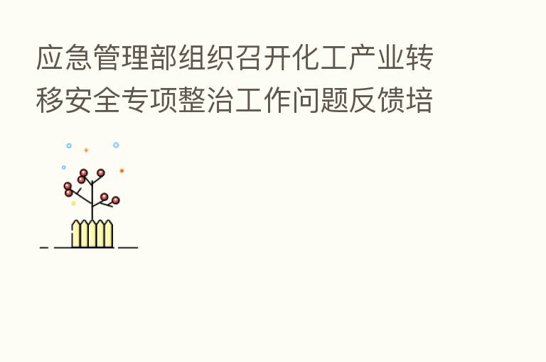 应急管理部组织召开化工产业转移安全专项整治工作问题反馈培训视频会