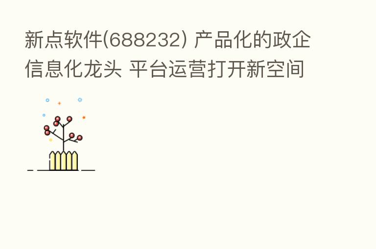 新点软件(688232) 产品化的政企信息化龙头 平台运营打开新空间