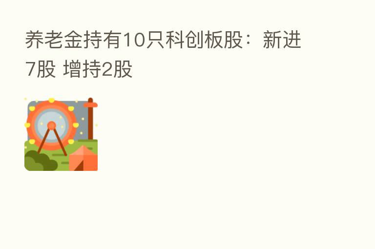 养老金持有10只科创板股：新进7股 增持2股