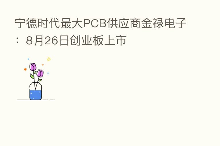 宁德时代 大PCB供应商金禄电子:8月26日创业板上市