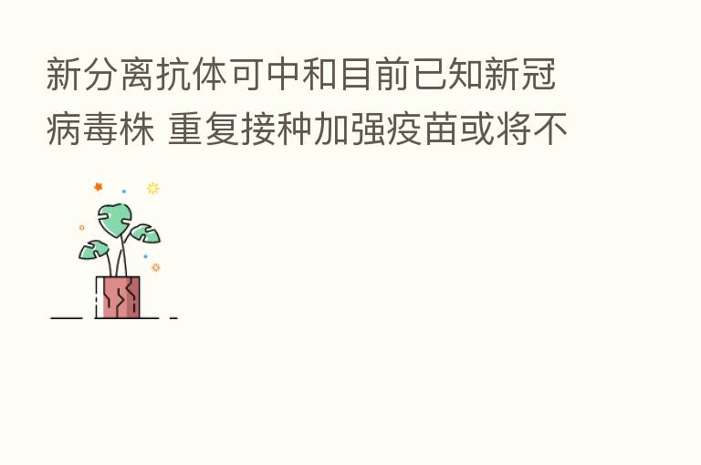 新分离抗体可中和目前已知新冠病毒株 重复接种加强疫苗或将不再需要