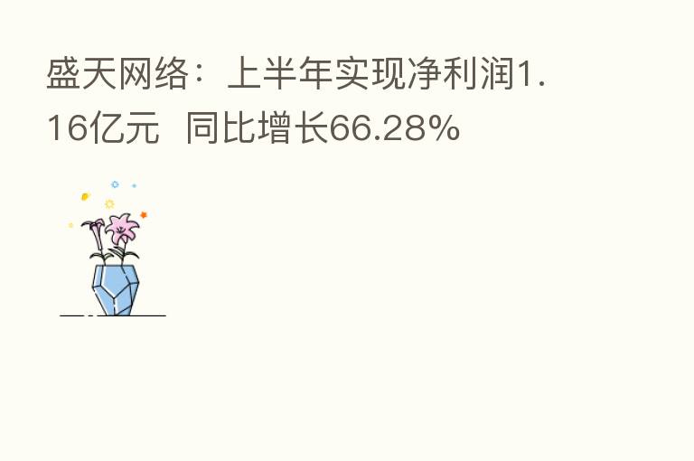 盛天网络:上半年实现净利润1.16亿元 同比增长66.28%