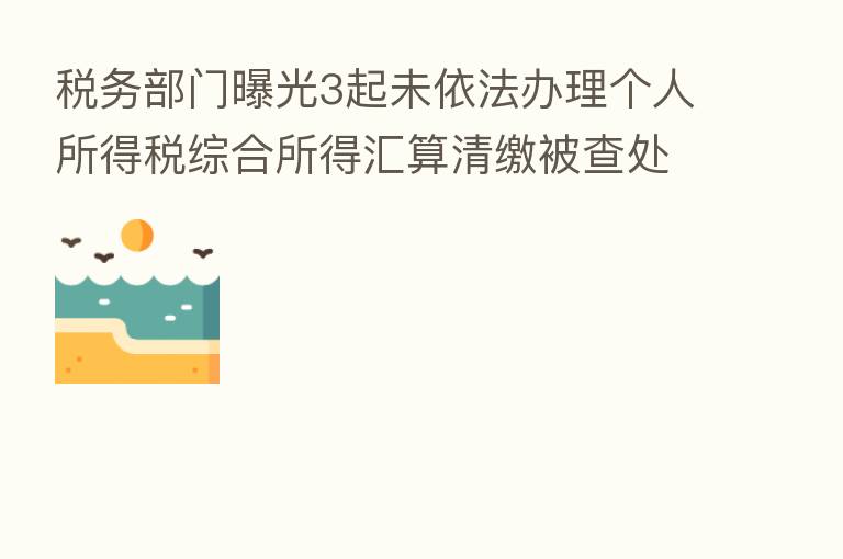 税务部门曝光3起未依法办理个人所得税综合所得汇算清缴被查处案件