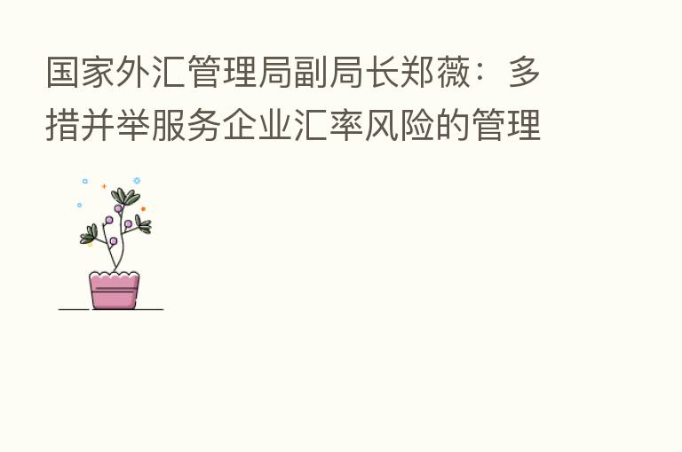 国家外汇管理局副局长郑薇:多措并举服务企业汇率风险的管理