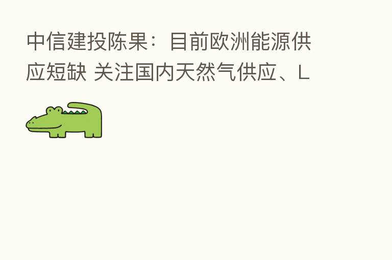 中信建投陈果:目前欧洲能源供应短缺 关注国内天然气供应、LNG生产等板块
