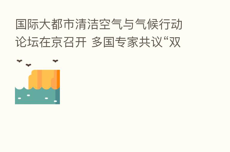 国际大都市清洁空气与气候行动论坛在京召开 多国专家共议“双碳”行动